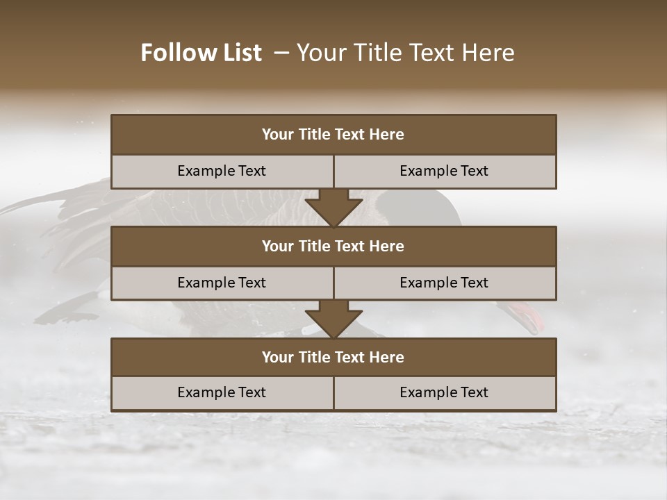 A Goose Is Running Through The Water With It's Beak In It's PowerPoint Template