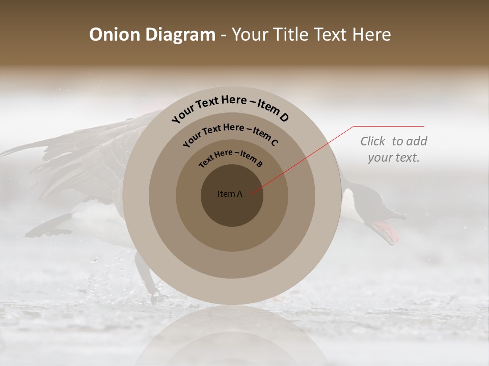 A Goose Is Running Through The Water With It's Beak In It's PowerPoint Template