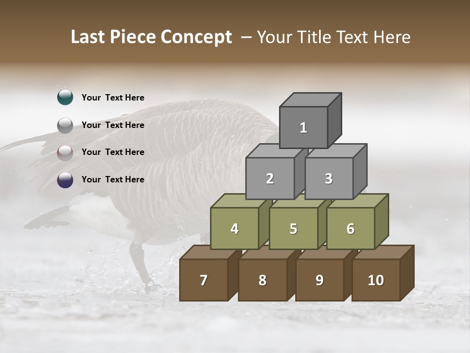 A Goose Is Running Through The Water With It's Beak In It's PowerPoint Template