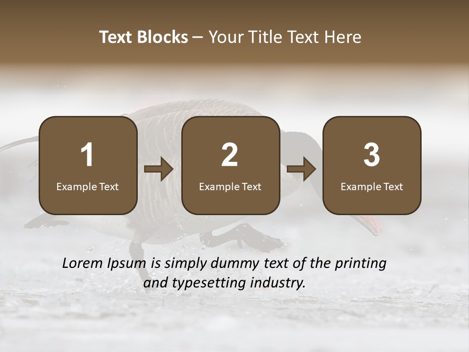 A Goose Is Running Through The Water With It's Beak In It's PowerPoint Template