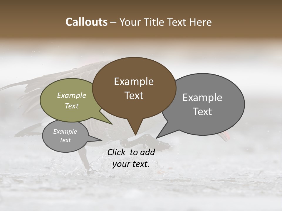 A Goose Is Running Through The Water With It's Beak In It's PowerPoint Template