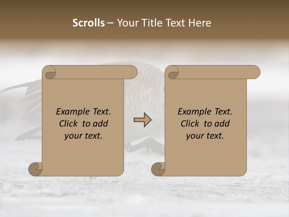 A Goose Is Running Through The Water With It's Beak In It's PowerPoint Template