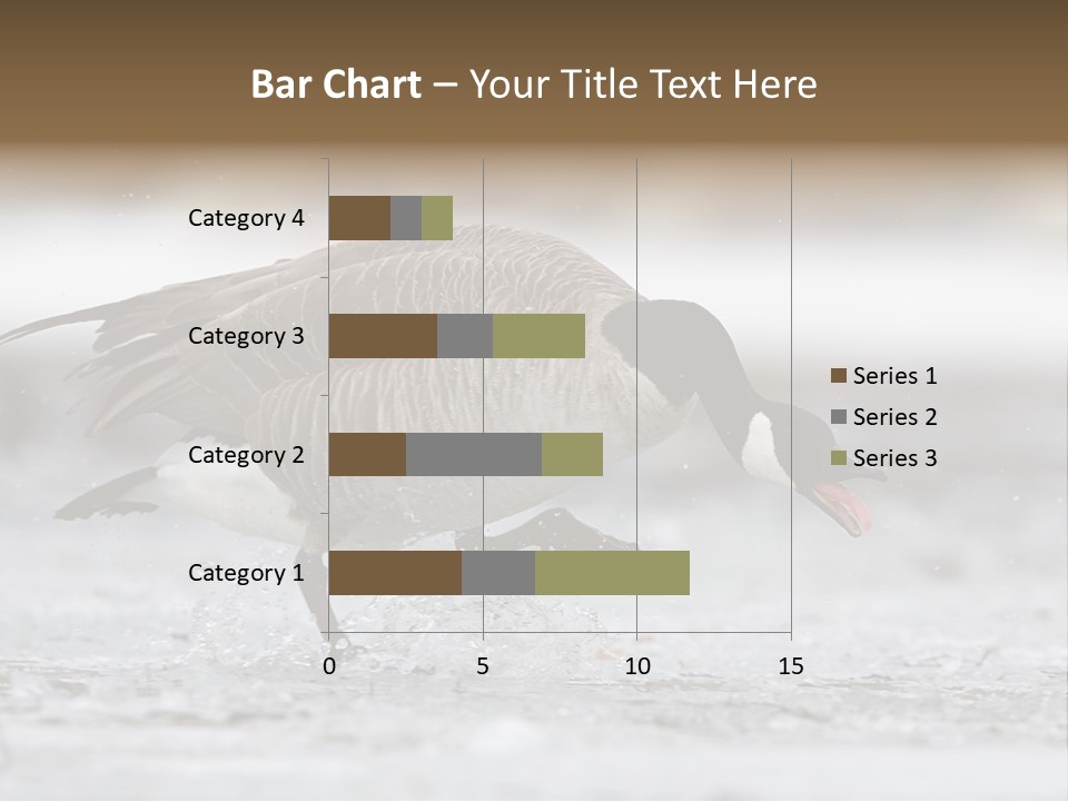 A Goose Is Running Through The Water With It's Beak In It's PowerPoint Template