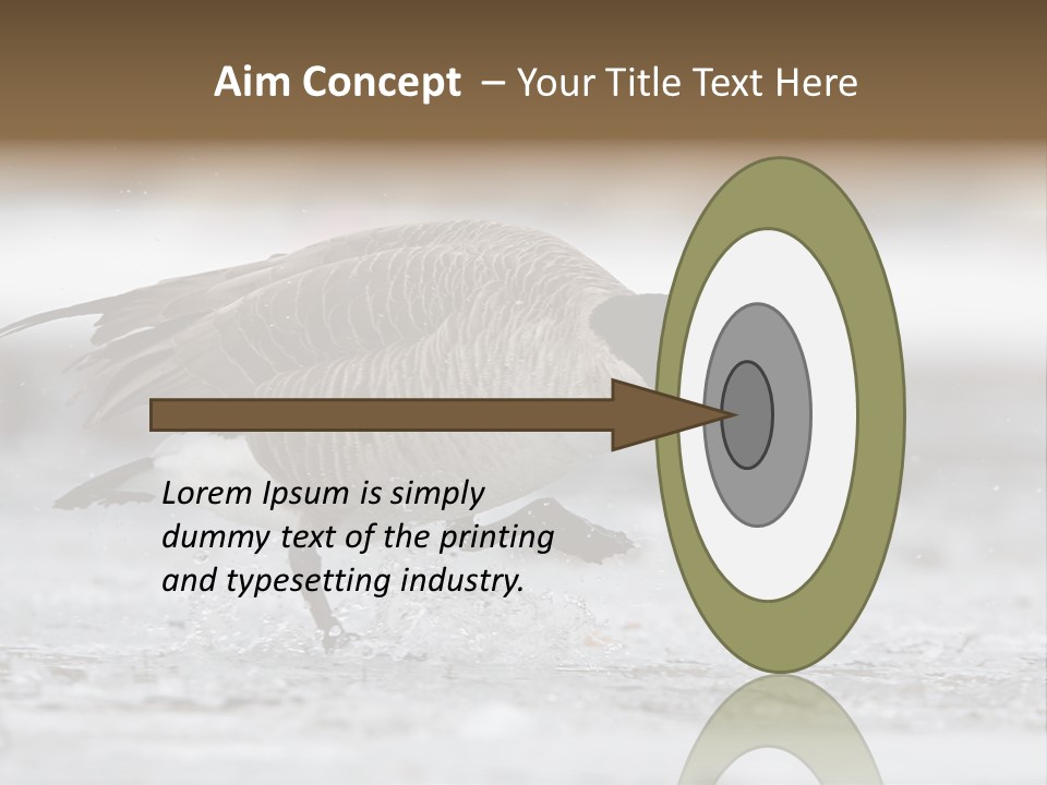 A Goose Is Running Through The Water With It's Beak In It's PowerPoint Template