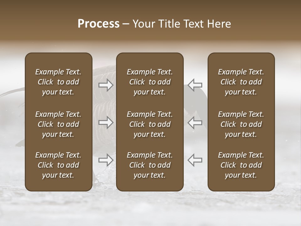 A Goose Is Running Through The Water With It's Beak In It's PowerPoint Template