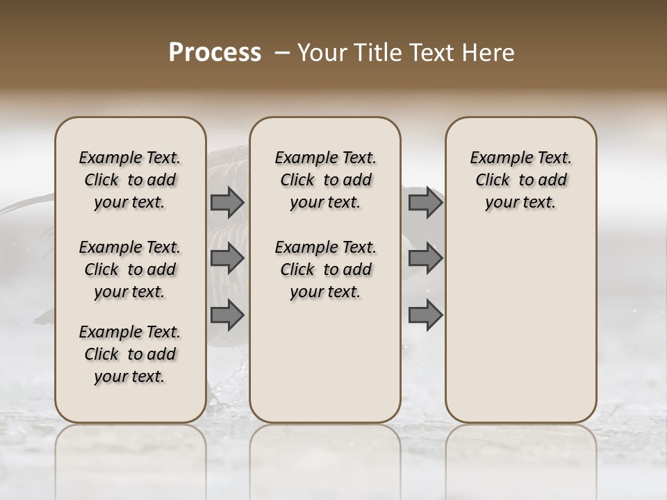 A Goose Is Running Through The Water With It's Beak In It's PowerPoint Template