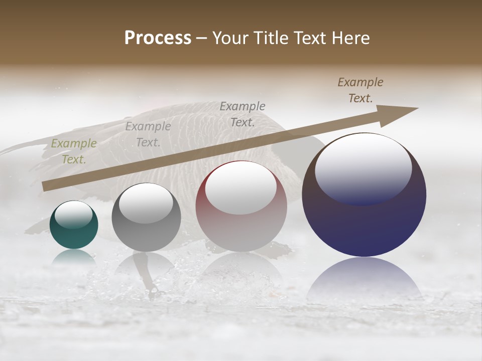 A Goose Is Running Through The Water With It's Beak In It's PowerPoint Template