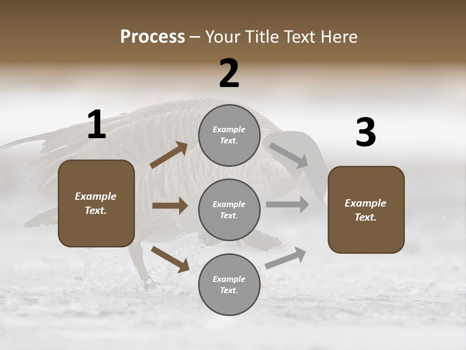 A Goose Is Running Through The Water With It's Beak In It's PowerPoint Template