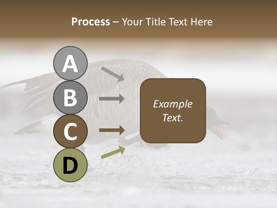 A Goose Is Running Through The Water With It's Beak In It's PowerPoint Template