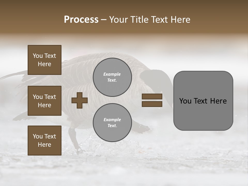 A Goose Is Running Through The Water With It's Beak In It's PowerPoint Template