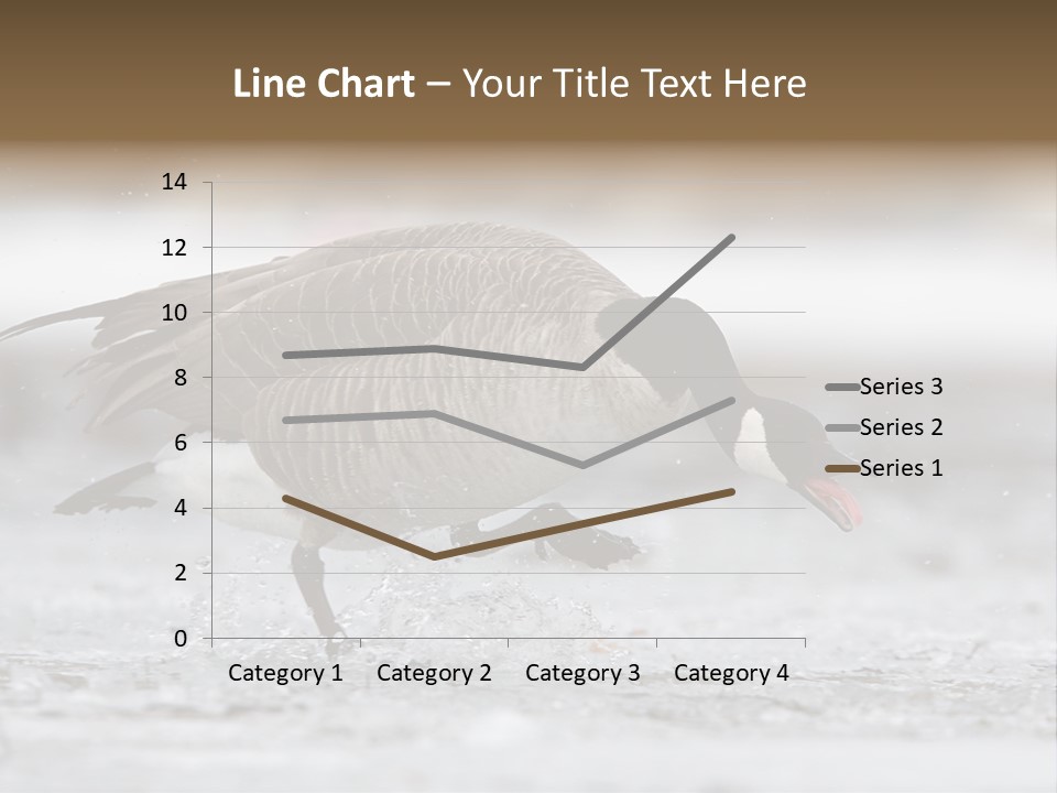 A Goose Is Running Through The Water With It's Beak In It's PowerPoint Template