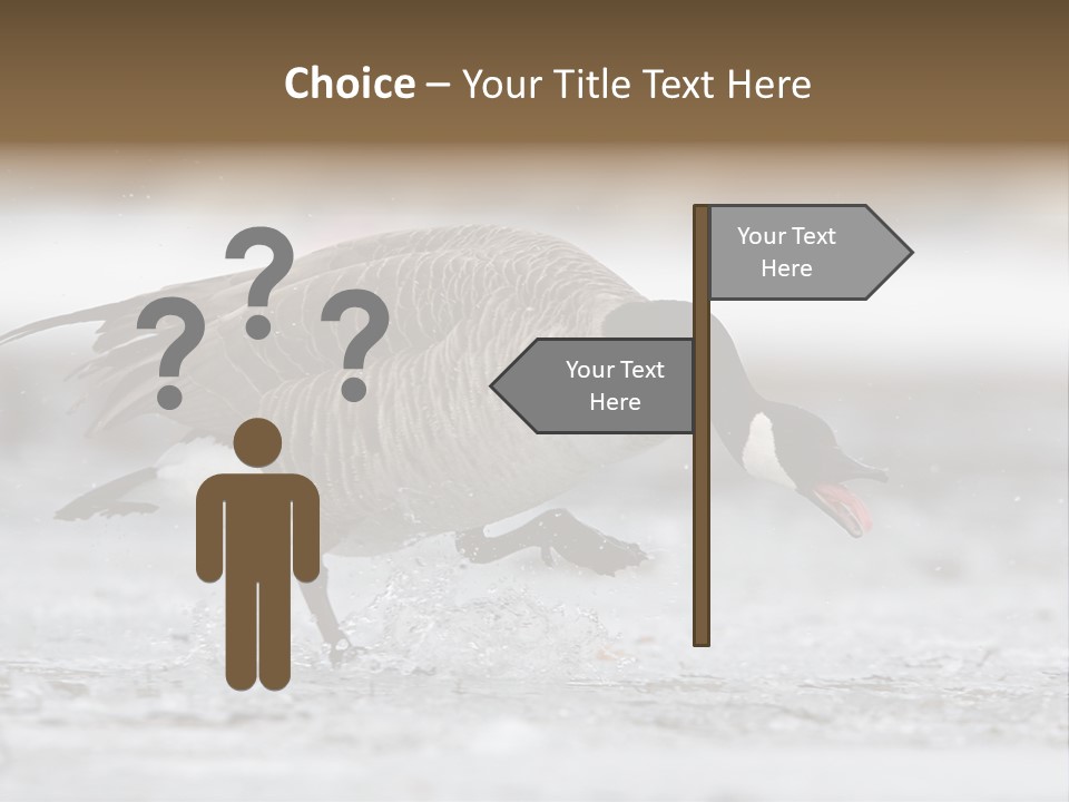 A Goose Is Running Through The Water With It's Beak In It's PowerPoint Template
