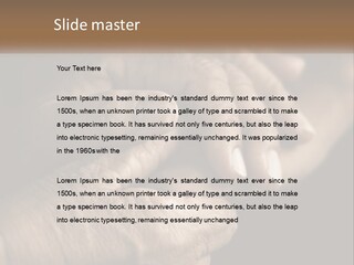 Two Hands Holding Each Other Over A Black Background PowerPoint Template