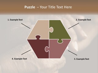 Two Hands Holding Each Other Over A Black Background PowerPoint Template