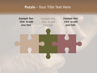 Two Hands Holding Each Other Over A Black Background PowerPoint Template