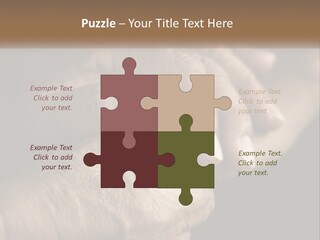 Two Hands Holding Each Other Over A Black Background PowerPoint Template