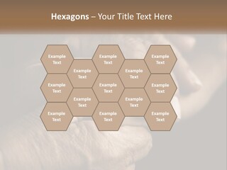 Two Hands Holding Each Other Over A Black Background PowerPoint Template