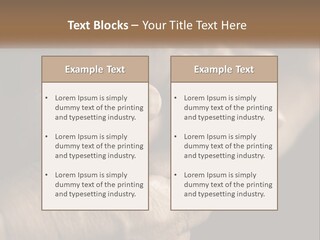 Two Hands Holding Each Other Over A Black Background PowerPoint Template