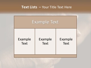 Two Hands Holding Each Other Over A Black Background PowerPoint Template