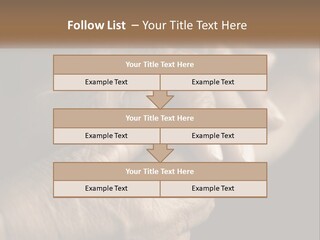 Two Hands Holding Each Other Over A Black Background PowerPoint Template