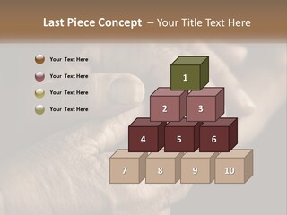 Two Hands Holding Each Other Over A Black Background PowerPoint Template