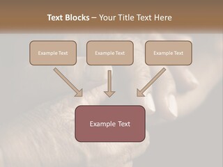 Two Hands Holding Each Other Over A Black Background PowerPoint Template
