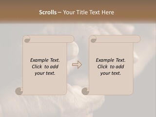 Two Hands Holding Each Other Over A Black Background PowerPoint Template