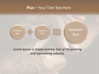 Two Hands Holding Each Other Over A Black Background PowerPoint Template