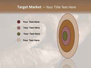 Two Hands Holding Each Other Over A Black Background PowerPoint Template