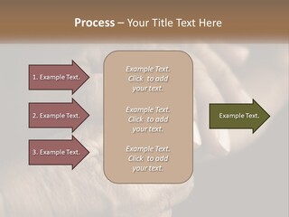 Two Hands Holding Each Other Over A Black Background PowerPoint Template