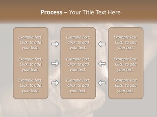 Two Hands Holding Each Other Over A Black Background PowerPoint Template