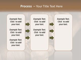 Two Hands Holding Each Other Over A Black Background PowerPoint Template