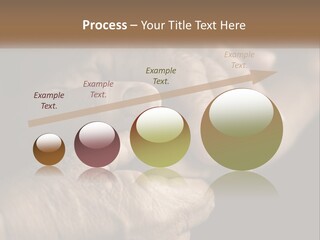 Two Hands Holding Each Other Over A Black Background PowerPoint Template