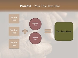 Two Hands Holding Each Other Over A Black Background PowerPoint Template