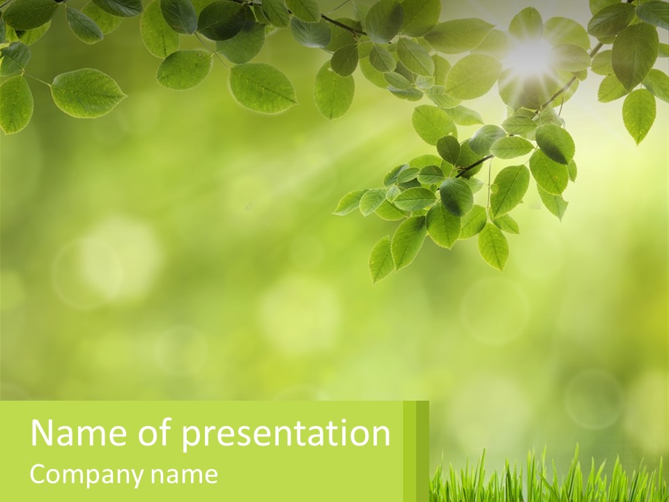 A Green Background With Leaves And Grass PowerPoint Template