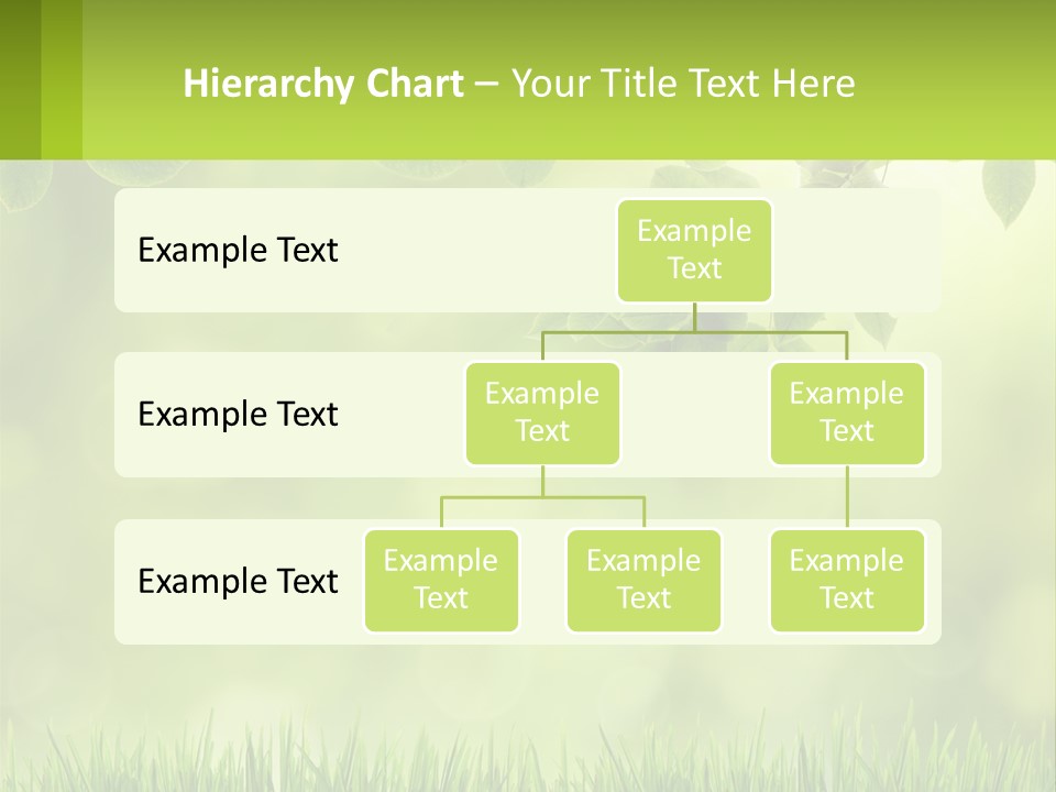 A Green Background With Leaves And Grass PowerPoint Template