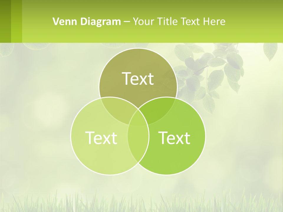 A Green Background With Leaves And Grass PowerPoint Template