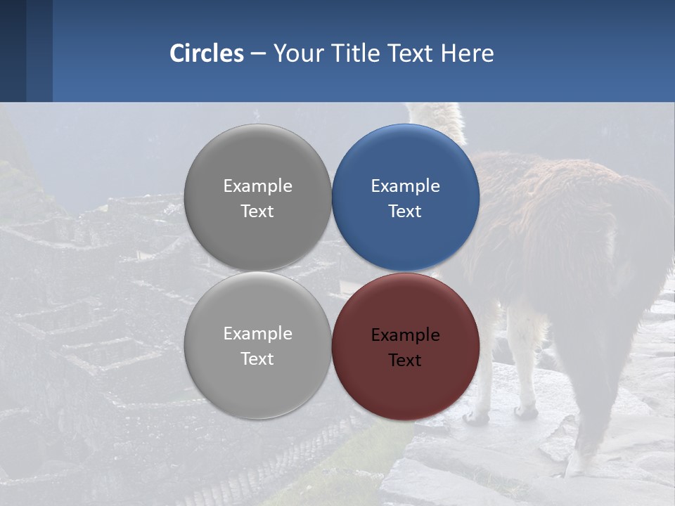 A Llama Standing On Top Of A Mountain PowerPoint Template