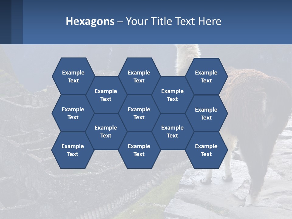 A Llama Standing On Top Of A Mountain PowerPoint Template