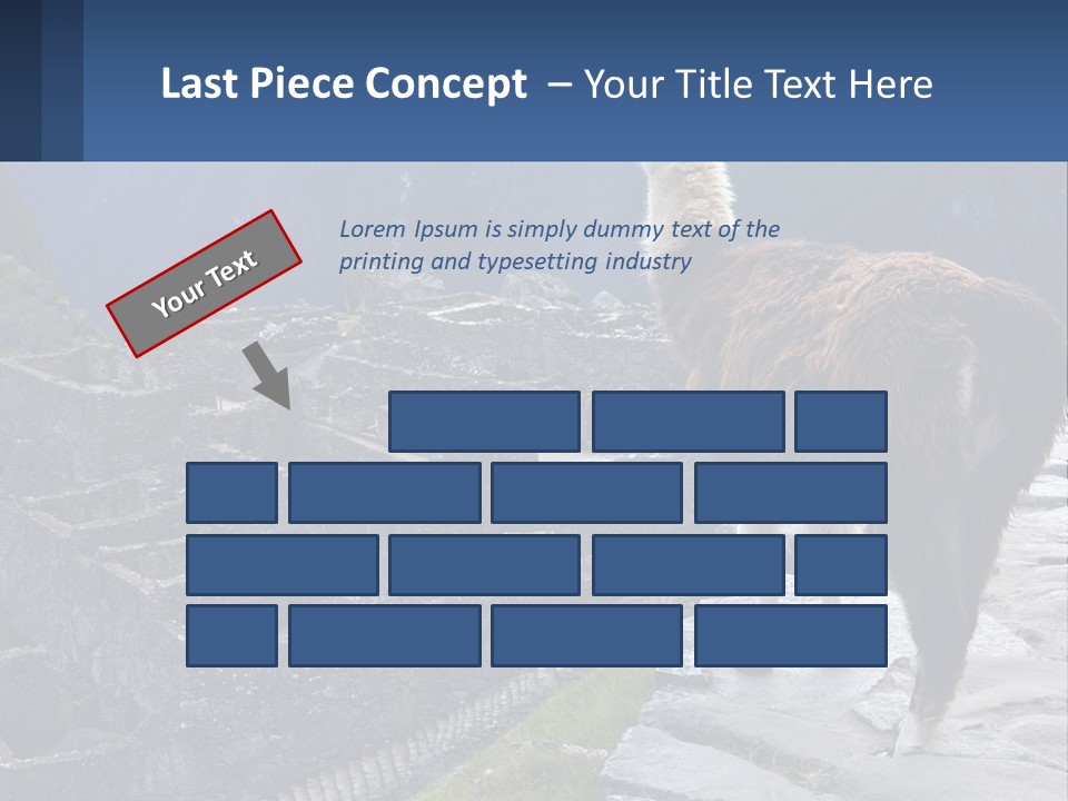 A Llama Standing On Top Of A Mountain PowerPoint Template