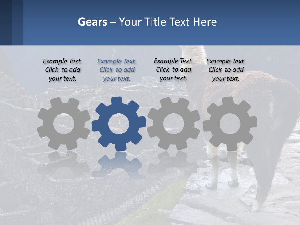 A Llama Standing On Top Of A Mountain PowerPoint Template