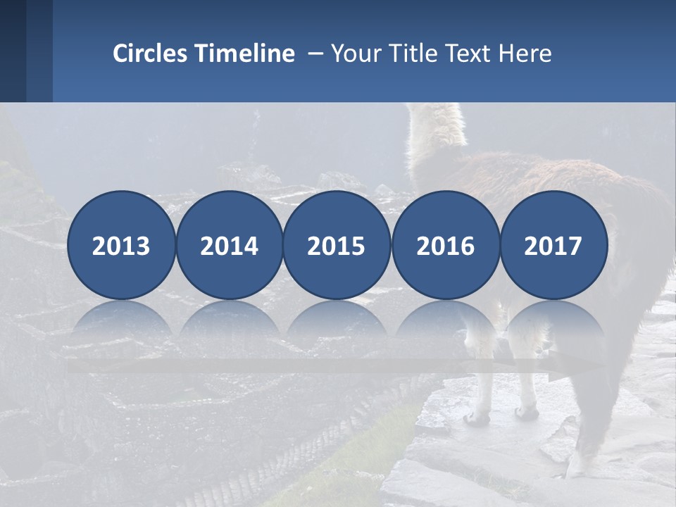 A Llama Standing On Top Of A Mountain PowerPoint Template