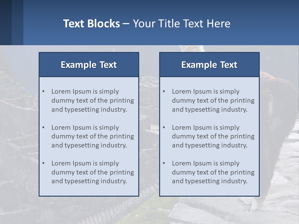 A Llama Standing On Top Of A Mountain PowerPoint Template