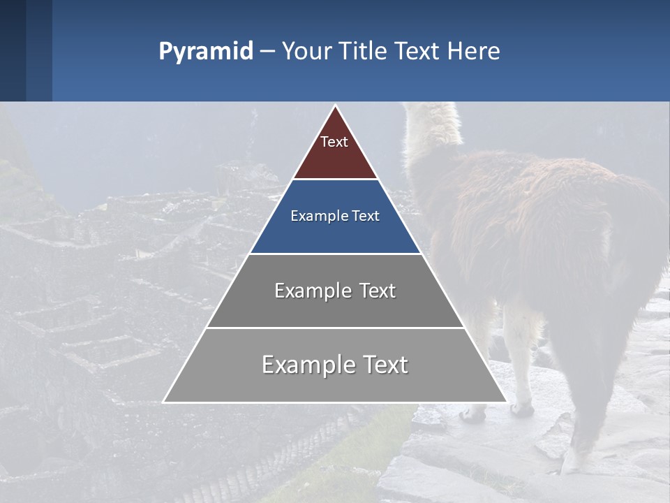 A Llama Standing On Top Of A Mountain PowerPoint Template