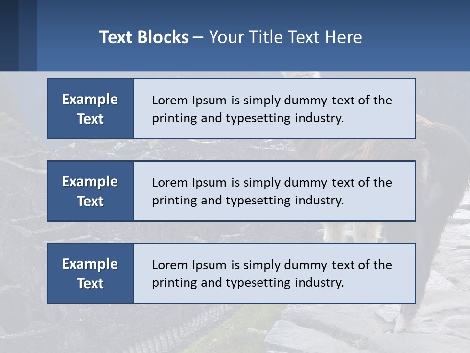 A Llama Standing On Top Of A Mountain PowerPoint Template