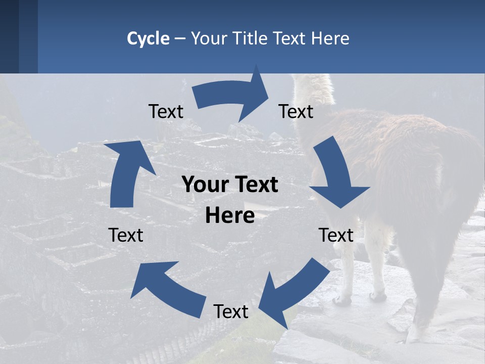 A Llama Standing On Top Of A Mountain PowerPoint Template