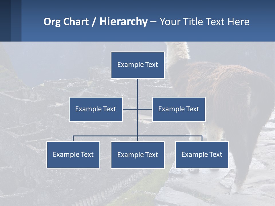 A Llama Standing On Top Of A Mountain PowerPoint Template