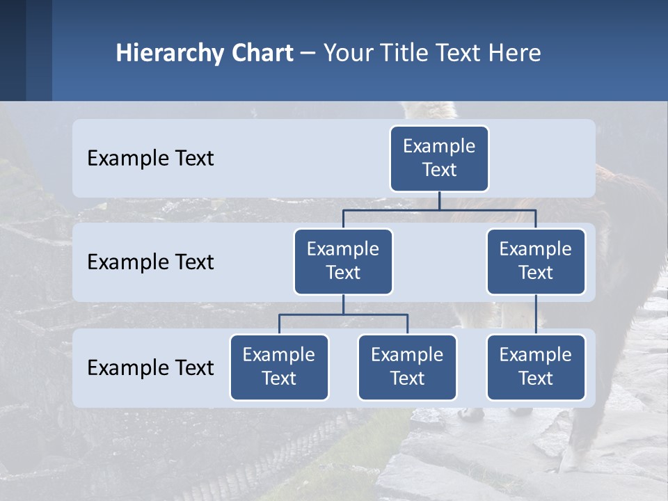 A Llama Standing On Top Of A Mountain PowerPoint Template