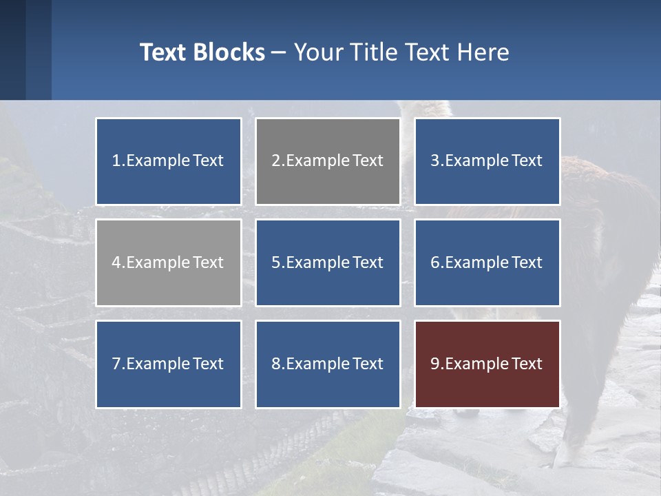 A Llama Standing On Top Of A Mountain PowerPoint Template
