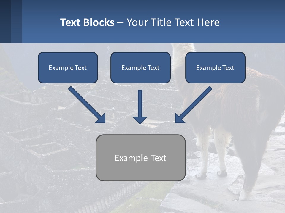 A Llama Standing On Top Of A Mountain PowerPoint Template